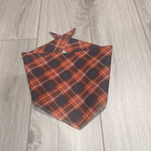 Fall Colors Dog Bandana
