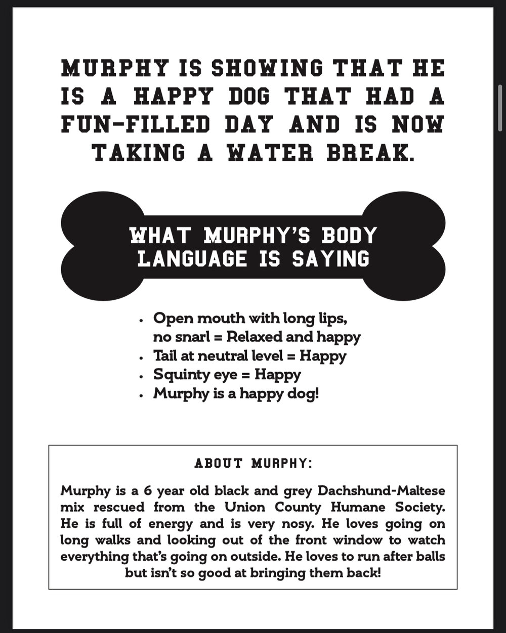 The Private School Pups Dog Body Language Education and Coloring Book - Image 3