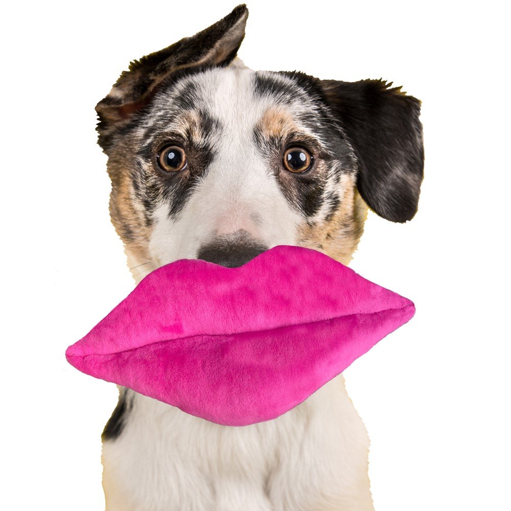 Hot Lips Dog Toy - Image 2